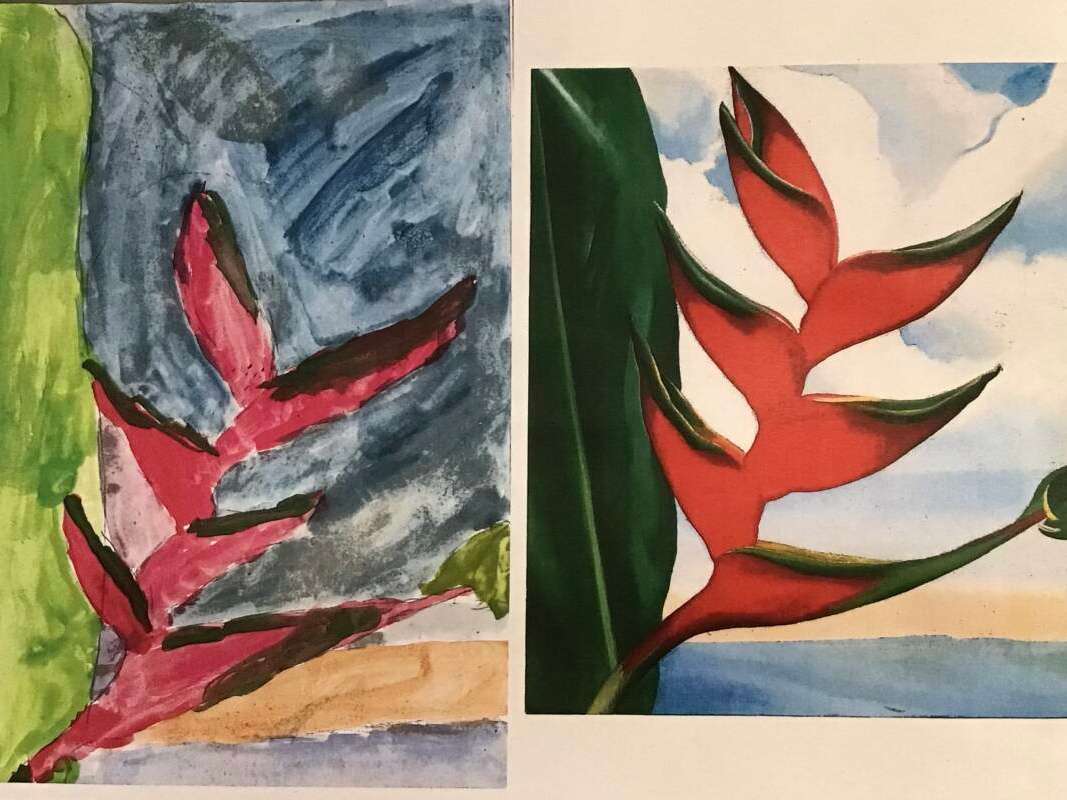 Vibrant botanical illustrations in contrasting styles.