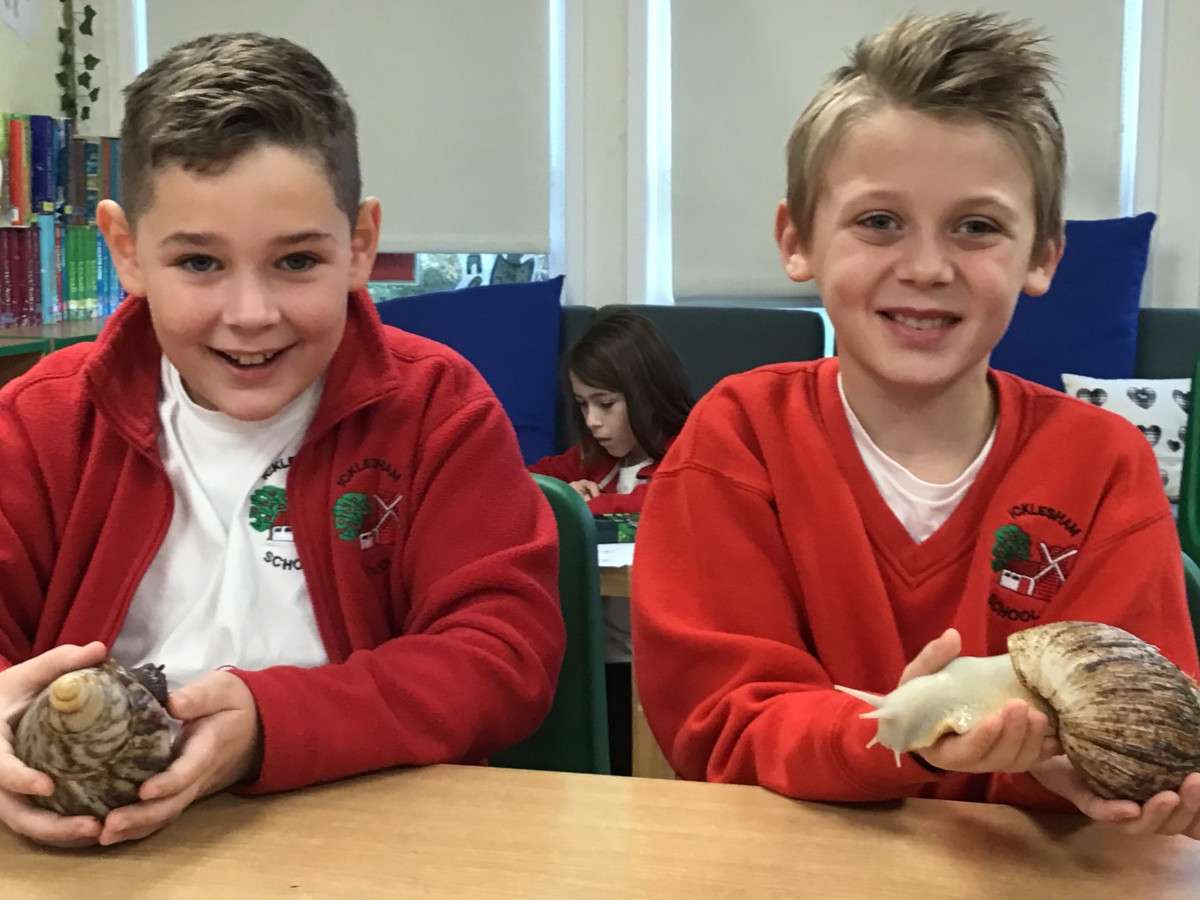 Two boys holding large snails.